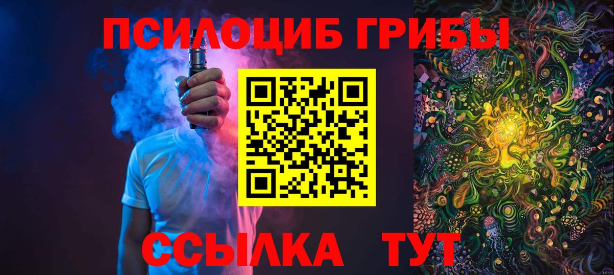 Псилоцибиновые грибы прущие грибы  Вход с VPN  Псилоцибиновые грибы Psilocybine cubensis  Татарск 